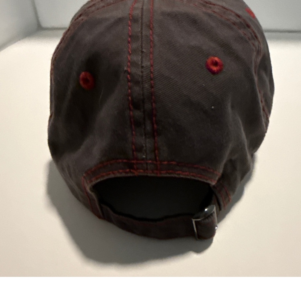 Alaska Embroidered Cap - Picture 3 of 3